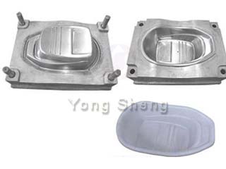 Bath tub mould